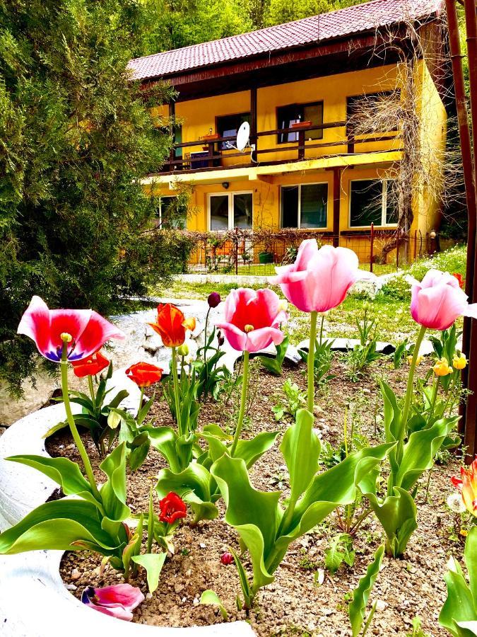 Bed and Breakfast House In The Woods Решица Экстерьер фото