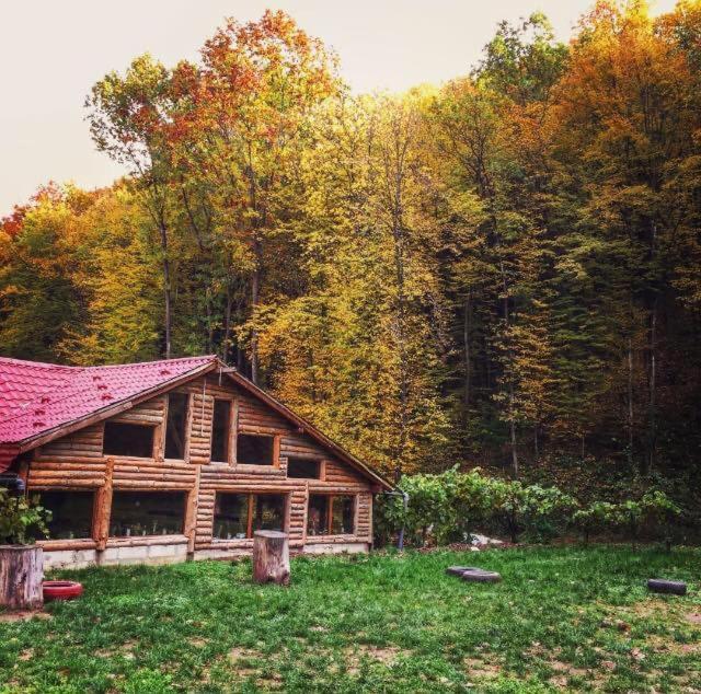 Bed and Breakfast House In The Woods Решица Экстерьер фото
