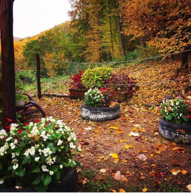 Bed and Breakfast House In The Woods Решица Экстерьер фото